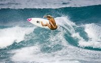 pic for Girl Surfing 